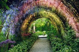 Dobrzyca Atrakcja Park tematyczny Ogrody Tematyczne Hortulus 